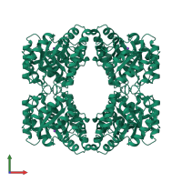 Homo tetrameric assembly 1 of PDB entry 1dhp coloured by chemically distinct molecules, front view.