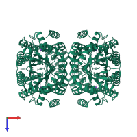 Homo tetrameric assembly 1 of PDB entry 1dhp coloured by chemically distinct molecules, top view.