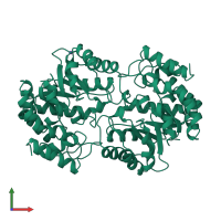 Homo dimeric assembly 2 of PDB entry 1dhp coloured by chemically distinct molecules, front view.