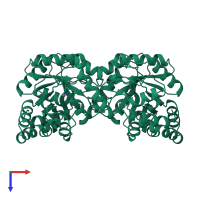 Homo dimeric assembly 2 of PDB entry 1dhp coloured by chemically distinct molecules, top view.
