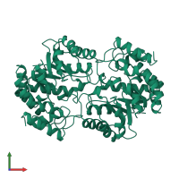 4-hydroxy-tetrahydrodipicolinate synthase in PDB entry 1dhp, assembly 2, front view.