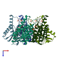 PDB entry 1di0 coloured by chain, top view.
