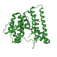 The deposited structure of PDB entry 1di1 contains 2 copies of SCOP domain 48586 (Aristolochene/pentalenene synthase) in Aristolochene synthase. Showing 1 copy in chain A.