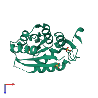 PDB entry 1di6 coloured by chain, top view.