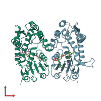 PDB entry 1dig coloured by chain, front view.