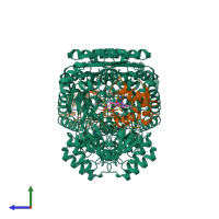 Hetero tetrameric assembly 1 of PDB entry 1dii coloured by chemically distinct molecules, side view.