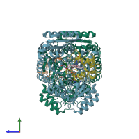 PDB entry 1dii coloured by chain, side view.