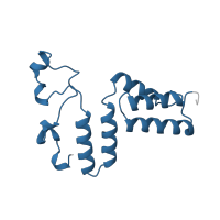 The deposited structure of PDB entry 1dio contains 2 copies of Pfam domain PF02287 (Dehydratase small subunit) in Diol dehydrase gamma subunit. Showing 1 copy in chain C [auth G].