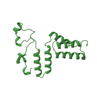 The deposited structure of PDB entry 1dio contains 2 copies of SCOP domain 47149 (Diol dehydratase, gamma subunit) in Diol dehydrase gamma subunit. Showing 1 copy in chain C [auth G].
