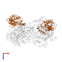 Diol dehydrase beta subunit in PDB entry 1dio, assembly 1, top view.