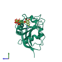 PDB entry 1diu coloured by chain, ensemble of 18 models, side view.