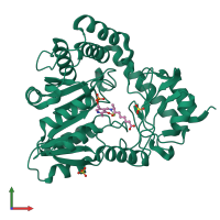 PDB entry 1dj9 coloured by chain, front view.