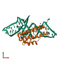 PDB entry 1dk1 coloured by chain, front view.