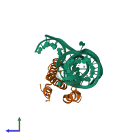 PDB entry 1dk1 coloured by chain, side view.