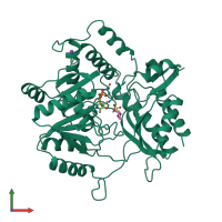 PDB entry 1dka coloured by chain, front view.