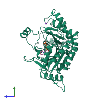 PDB entry 1dka coloured by chain, side view.