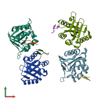 PDB entry 1dkd coloured by chain, front view.