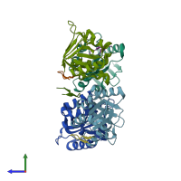 PDB entry 1dkd coloured by chain, side view.