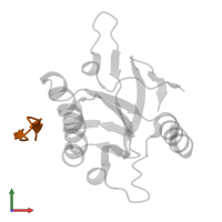 12-MER PEPTIDE in PDB entry 1dkd, assembly 1, front view.