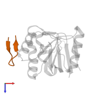 12-MER PEPTIDE in PDB entry 1dkd, assembly 1, top view.