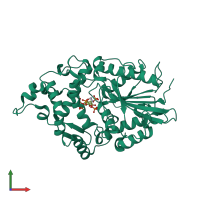 PDB entry 1dkp coloured by chain, front view.