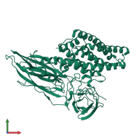 PDB entry 1dlc coloured by chain, front view.