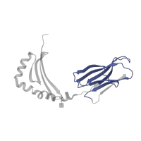 The deposited structure of PDB entry 1dlh contains 2 copies of Pfam domain PF07654 (Immunoglobulin C1-set domain) in HLA class II histocompatibility antigen, DRB1 beta chain. Showing 1 copy in chain B.