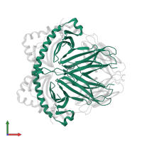HLA class II histocompatibility antigen, DR alpha chain in PDB entry 1dlh, assembly 1, front view.