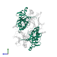 HLA class II histocompatibility antigen, DR alpha chain in PDB entry 1dlh, assembly 1, side view.