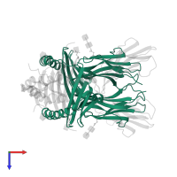 HLA class II histocompatibility antigen, DR alpha chain in PDB entry 1dlh, assembly 1, top view.