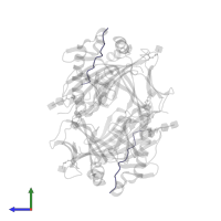 Hemagglutinin HA1 chain in PDB entry 1dlh, assembly 1, side view.