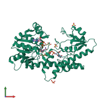 PDB entry 1dli coloured by chain, front view.