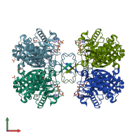 PDB entry 1dm3 coloured by chain, front view.