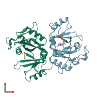 PDB entry 1dma coloured by chain, front view.