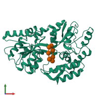 PDB entry 1dmb coloured by chain, front view.