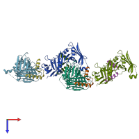 PDB entry 1dml coloured by chain, top view.