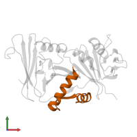 DNA polymerase catalytic subunit in PDB entry 1dml, assembly 1, front view.