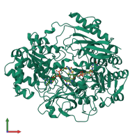PDB entry 1dmr coloured by chain, front view.