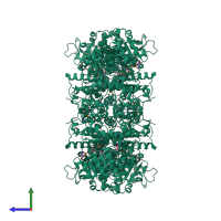 Homo tetrameric assembly 1 of PDB entry 1do8 coloured by chemically distinct molecules, side view.