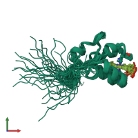 PDB entry 1do9 coloured by chain, ensemble of 40 models, front view.