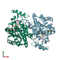 PDB entry 1doh coloured by chain, front view.