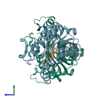 PDB entry 1doh coloured by chain, side view.