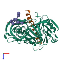 PDB entry 1dp5 coloured by chain, top view.