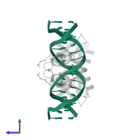 DNA (5'-D(*CP*GP*(BRU)P*TP*AP*CP*CP*AP*(BRU)P*GP*GP*TP*AP*AP*CP*G)-3') in PDB entry 1dp7, assembly 1, side view.