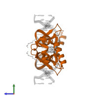 MHC class II regulatory factor RFX1 in PDB entry 1dp7, assembly 1, side view.