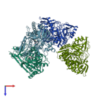 PDB entry 1dpp coloured by chain, top view.