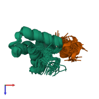 PDB entry 1dpu coloured by chain, ensemble of 30 models, top view.