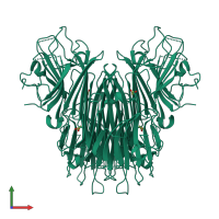 Homo tetrameric assembly 1 of PDB entry 1dq2 coloured by chemically distinct molecules, front view.