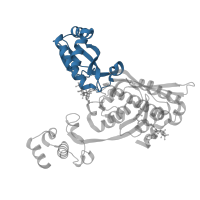 The deposited structure of PDB entry 1dqa contains 4 copies of CATH domain 3.30.70.420 (Alpha-Beta Plaits) in 3-hydroxy-3-methylglutaryl-coenzyme A reductase. Showing 1 copy in chain A.