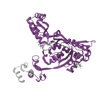 The deposited structure of PDB entry 1dqa contains 4 copies of Pfam domain PF00368 (Hydroxymethylglutaryl-coenzyme A reductase) in 3-hydroxy-3-methylglutaryl-coenzyme A reductase. Showing 1 copy in chain A.